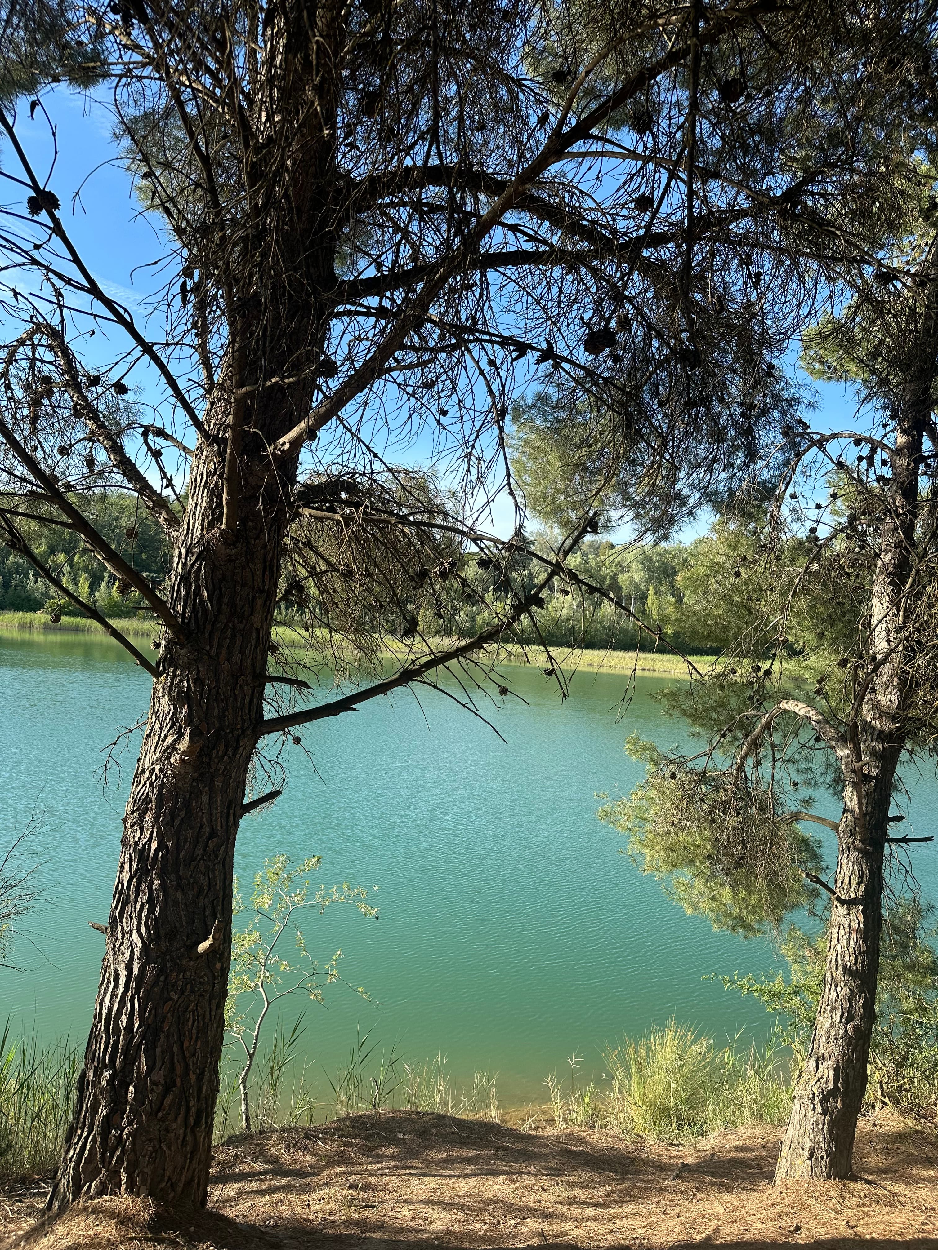 Paisaje del reto